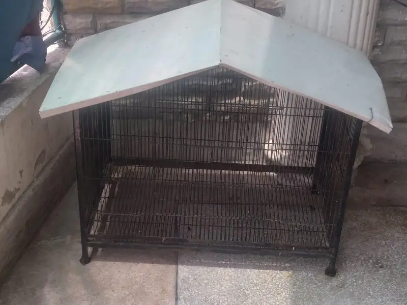cage for sale — photo 2