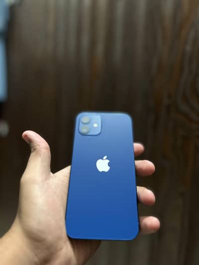 Apple iPhone 12
