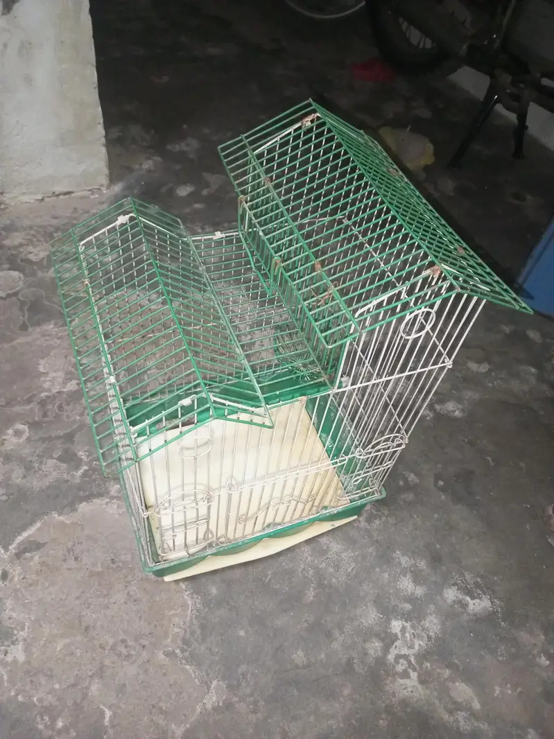 Parrot cage bungalow style — photo 2