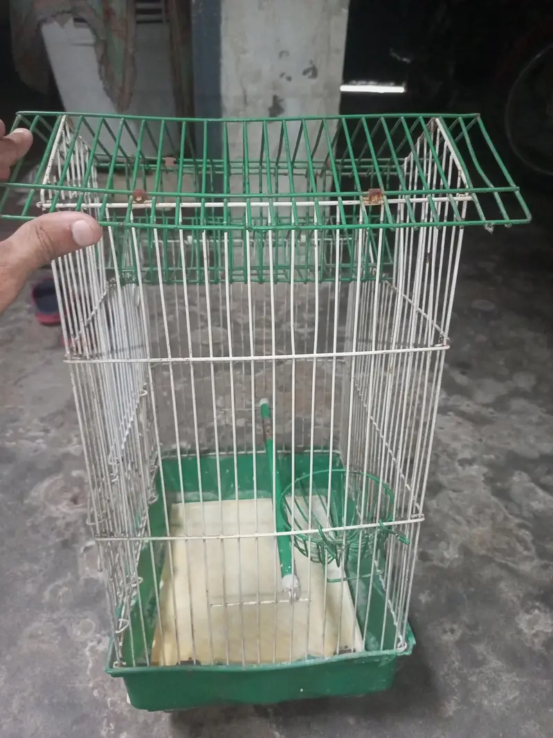 Parrot cage bungalow style — photo 4
