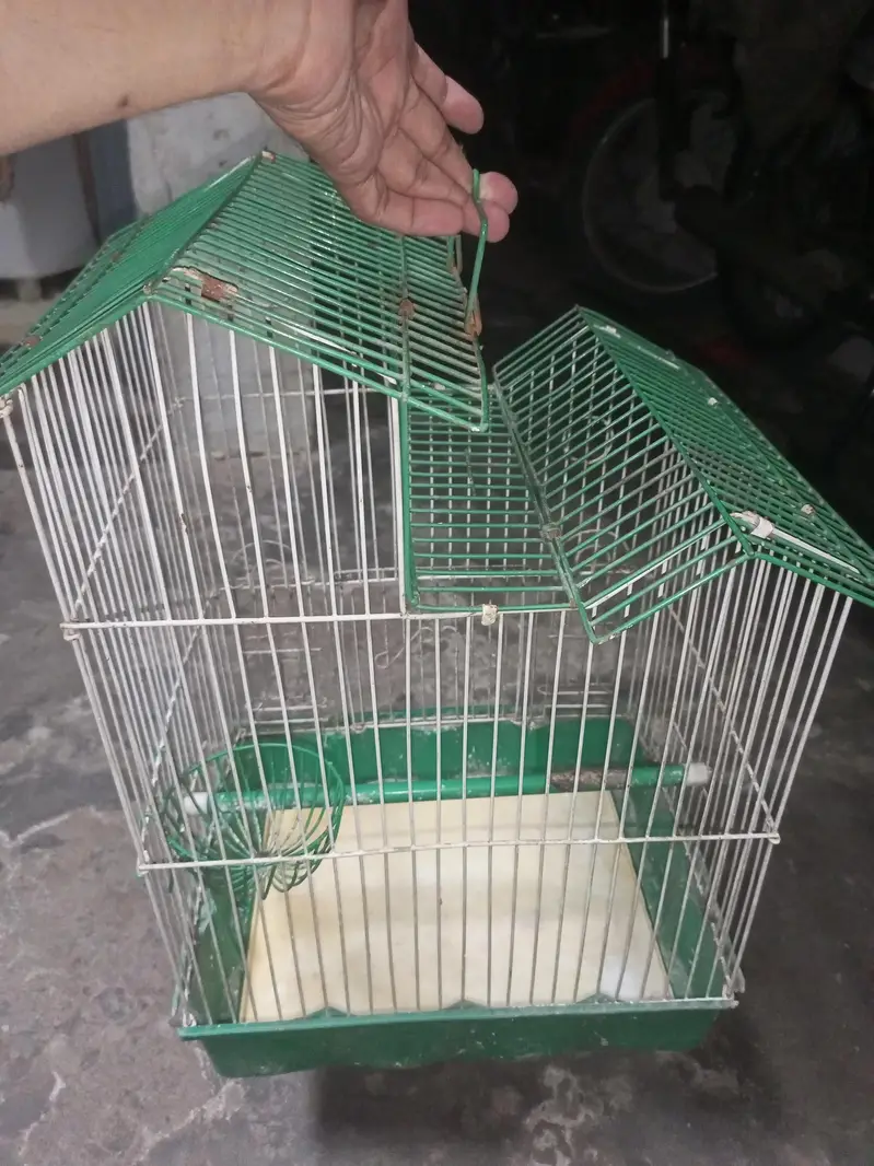 Parrot cage bungalow style — photo 5