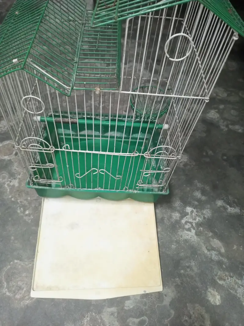 Parrot cage bungalow style — photo 6