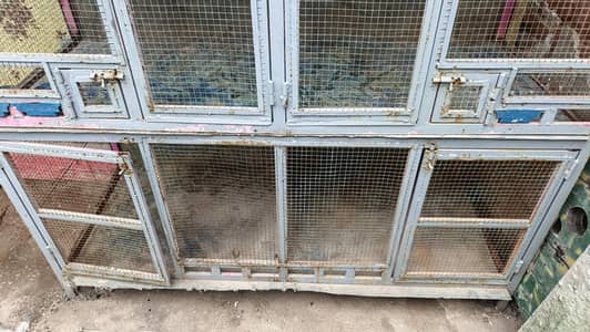 birds and hens cage, very strong build by myself
