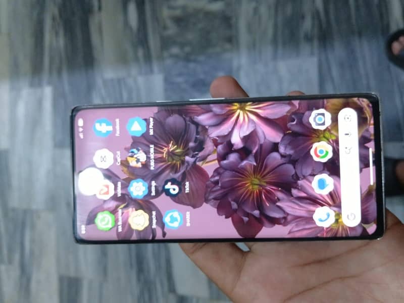 Google Pixel 6 Pro 1
