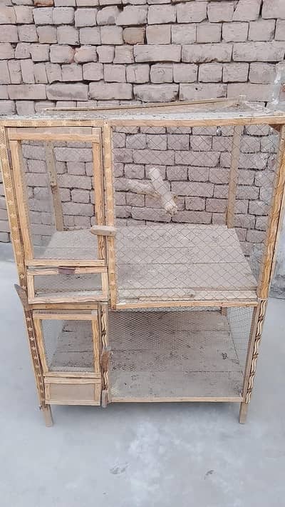 parrot  house