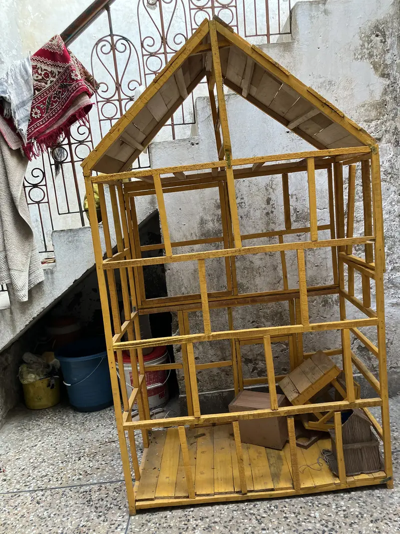 Cage paroote — photo 2