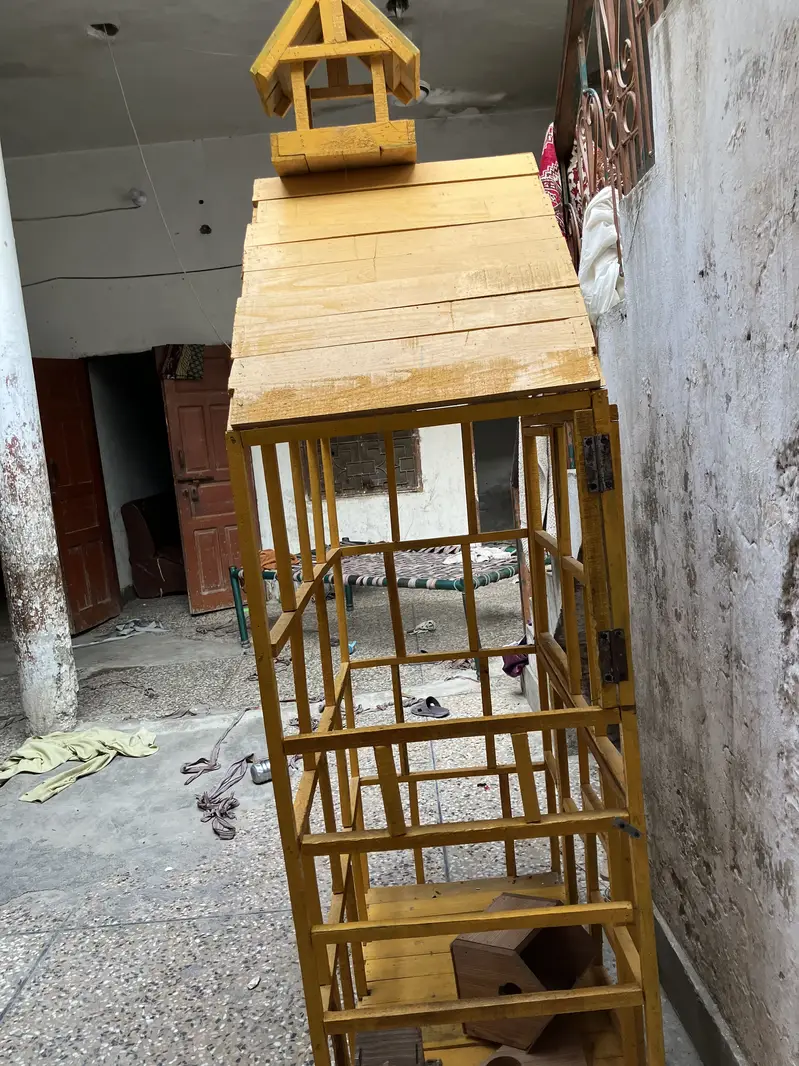 Cage paroote — photo 3