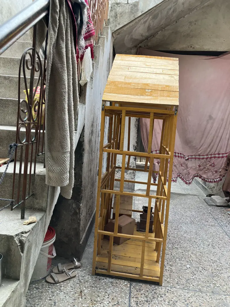 Cage paroote — photo 4