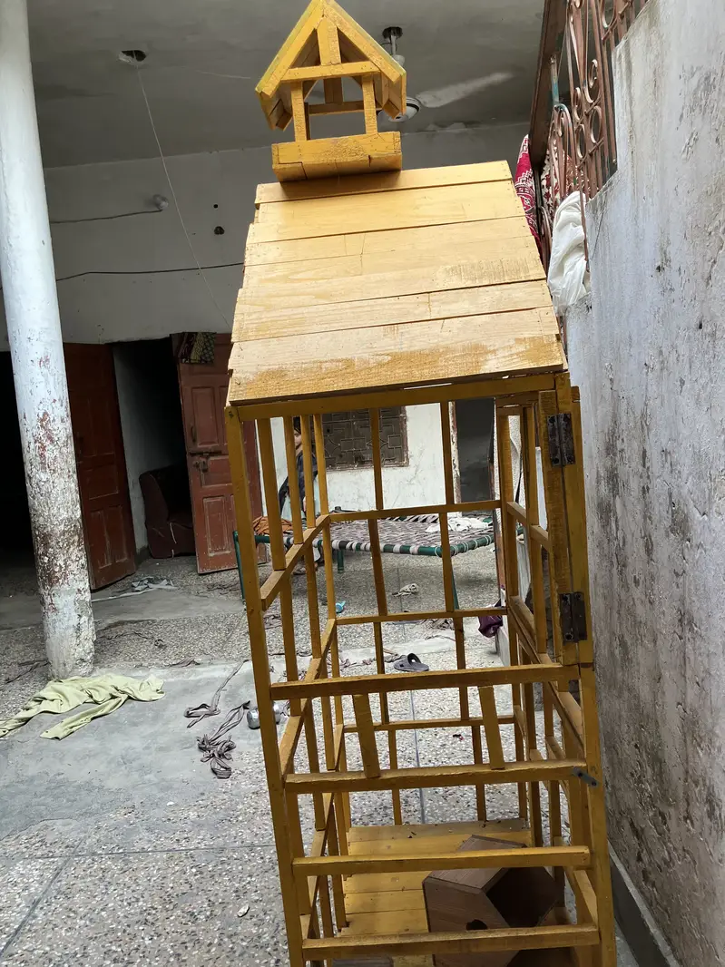 Cage paroote — photo 5