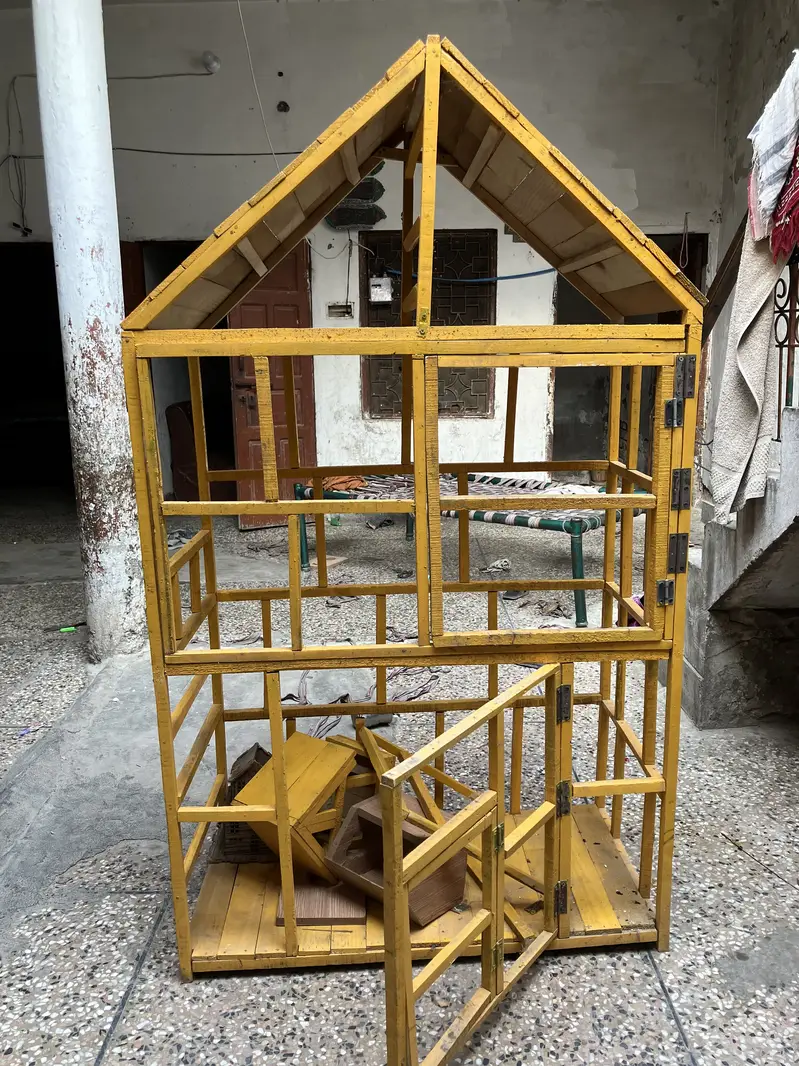 Cage paroote — photo 6