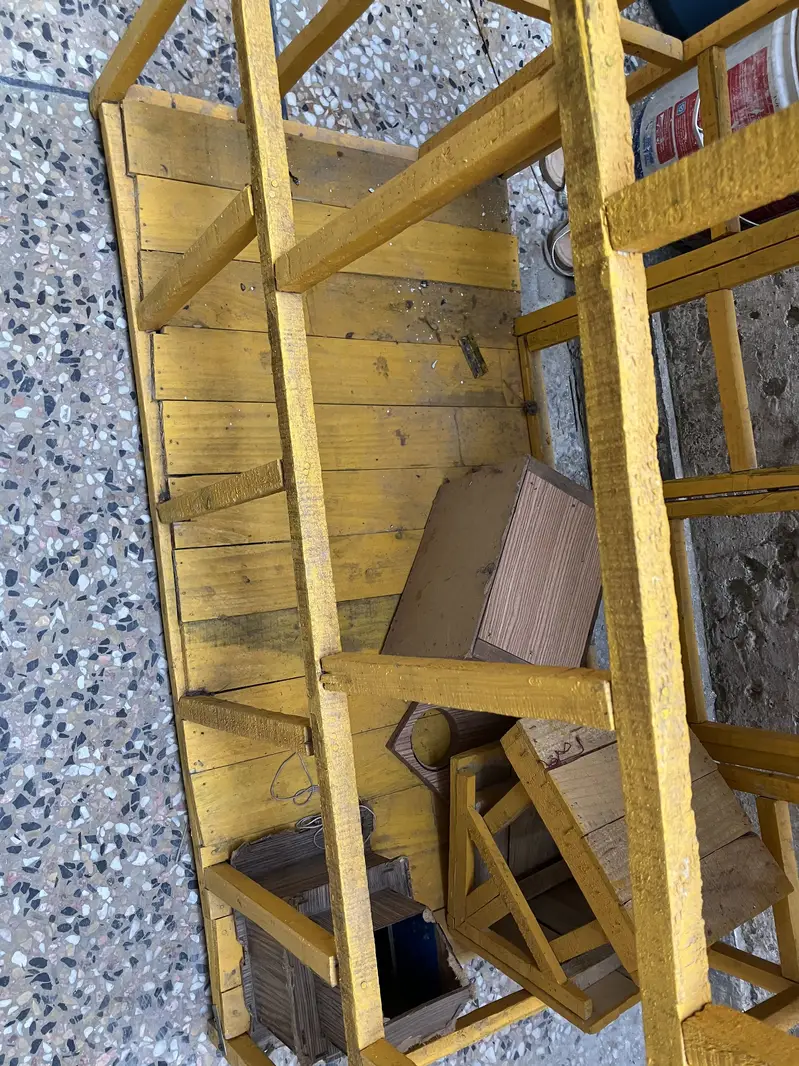 Cage paroote — photo 8