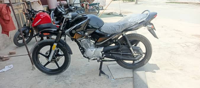 Yamaha YBR 125G 2026 | Black | Only 330 KM | Brand New | Bike YBR 125G