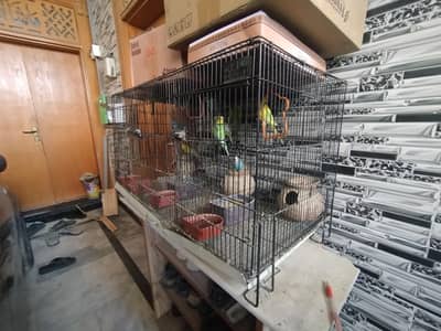 Parrot cage, heavy duty max 3 sections.