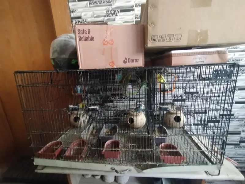 Parrot cage, heavy duty max 3 sections. — photo 2