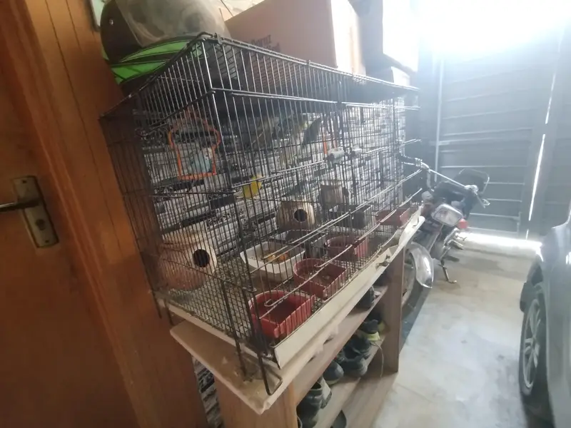 Parrot cage, heavy duty max 3 sections. — photo 5
