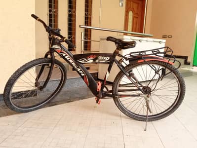Morgan Brand - Used Full Size Sports Cycle