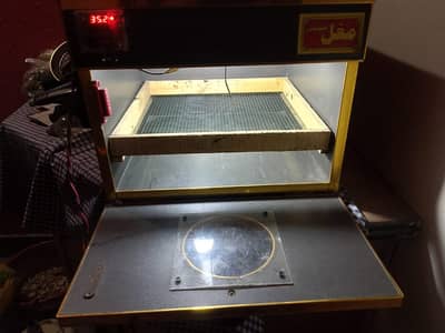 Incubator for sale