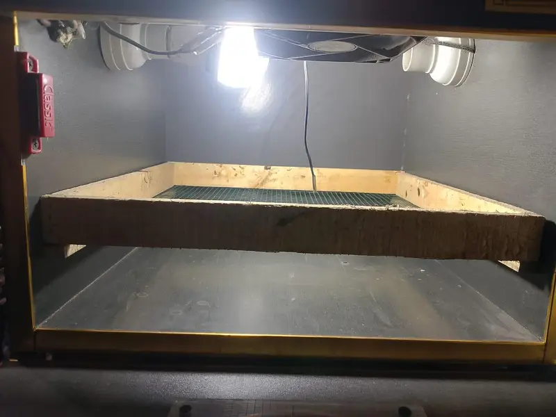 Incubator for sale — photo 3