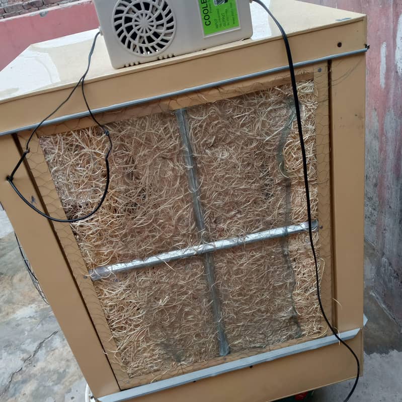 12 Volt Medium Size 1