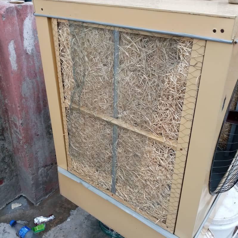 12 Volt Medium Size 3