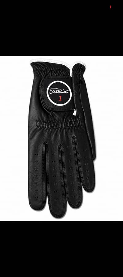 Golf Gloves ( Cabretta leather & and all season material )