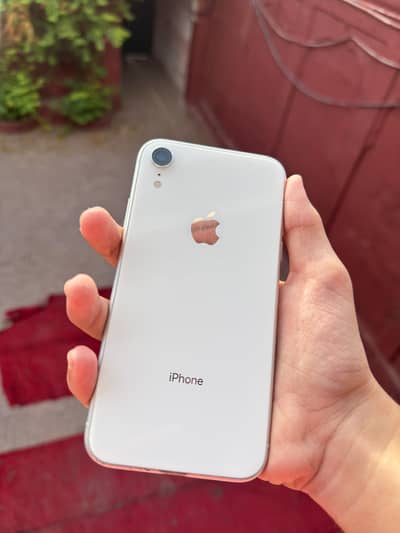iPhone XR