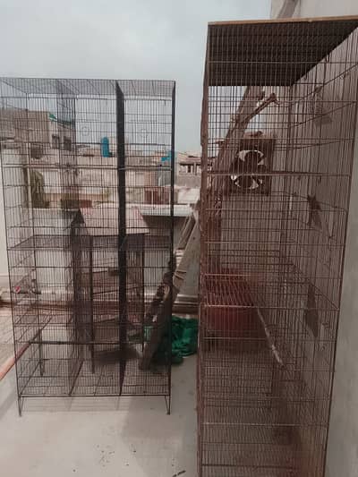 12 Portion Cage for sale | Total 2 Cages