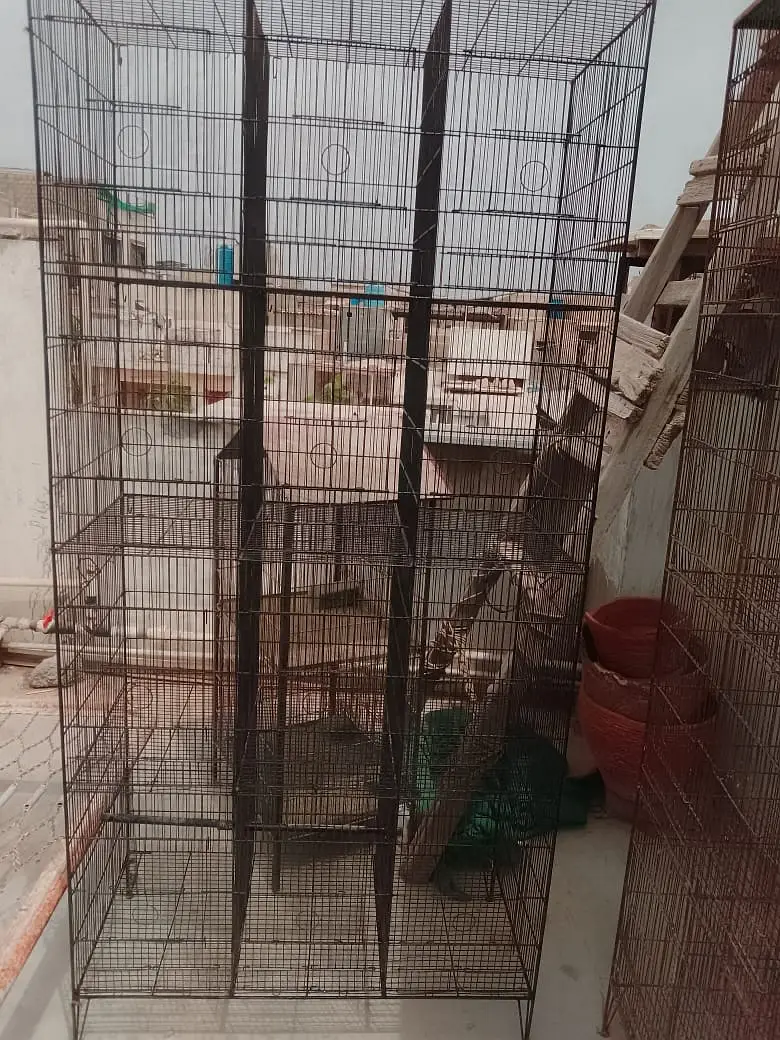 12 Portion Cage for sale | Total 2 Cages — photo 3