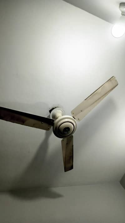 Ceiling Fans | 4 Fans
