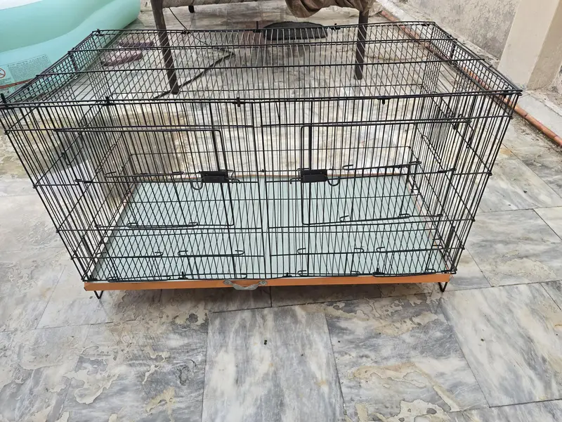 birds cage 3ft lenght 1.5ft chorayi 1.5 hight — photo 8