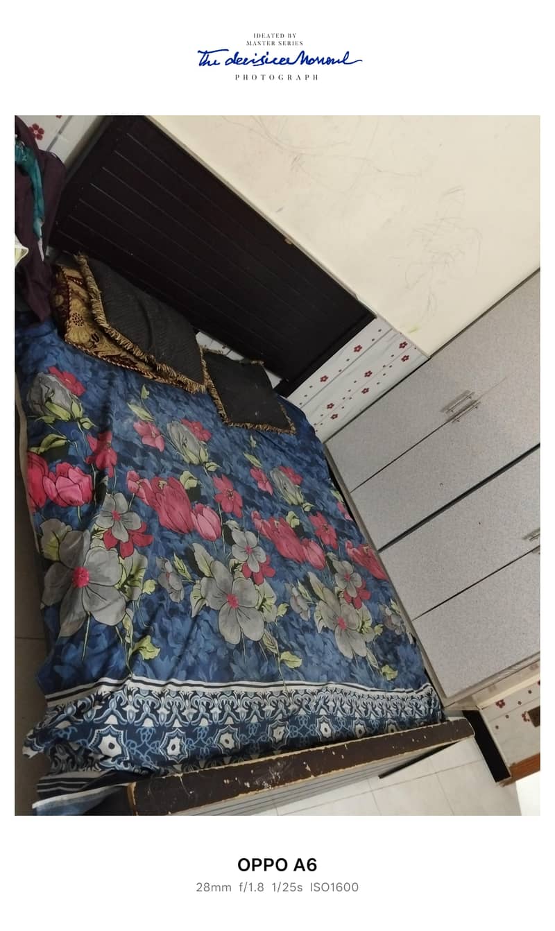only bed 1