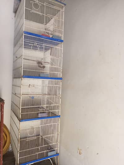 Birds Cage