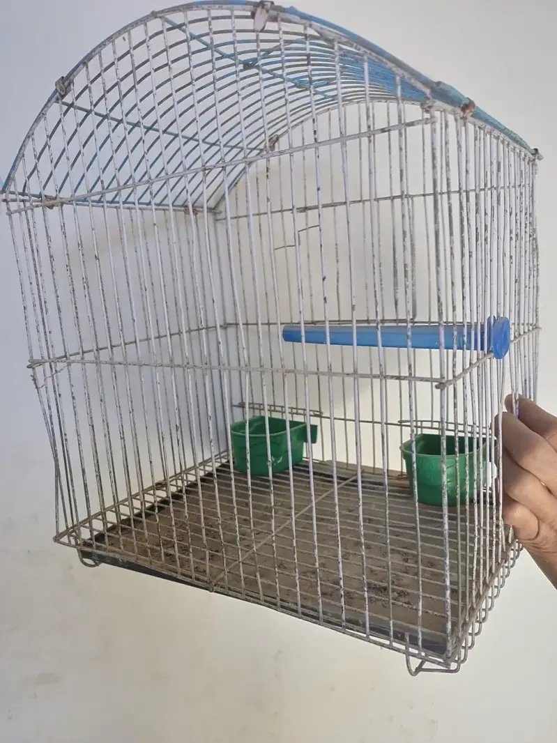 Birds Cage — photo 2
