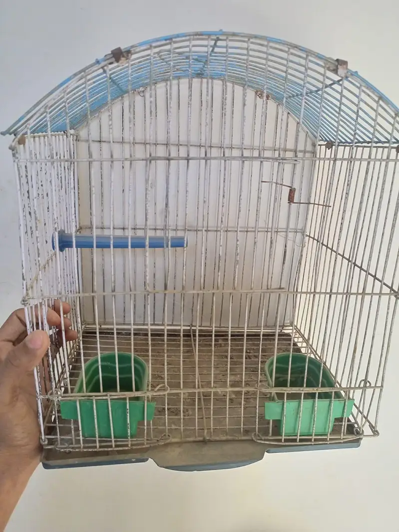 Birds Cage — photo 5