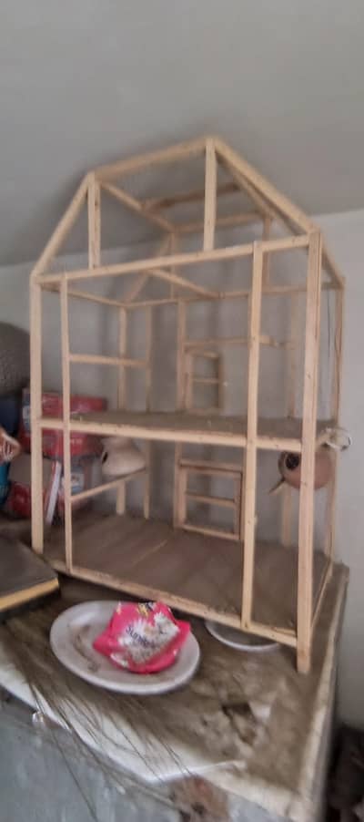 cages   1800 ka