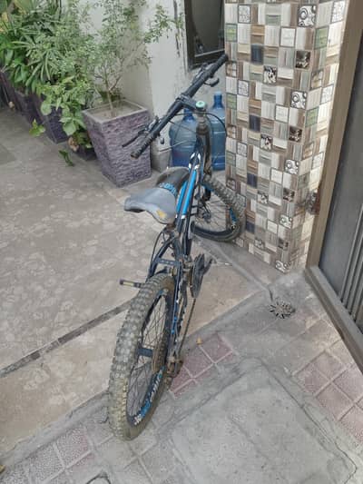 Gear Bicycle