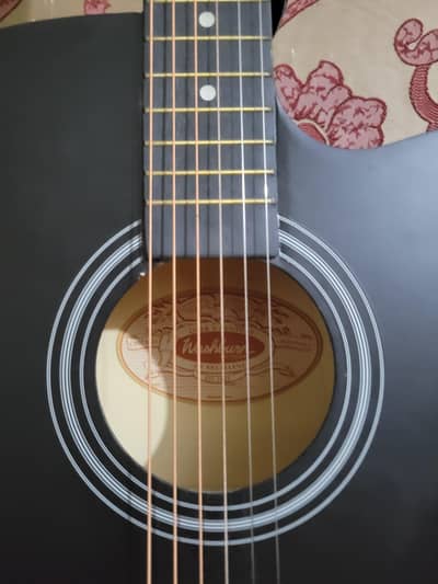 Washburn Acoustic Guitar – Like New | Complete Package