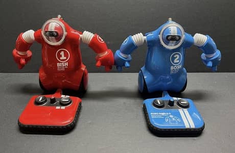 Fighter robot RC
