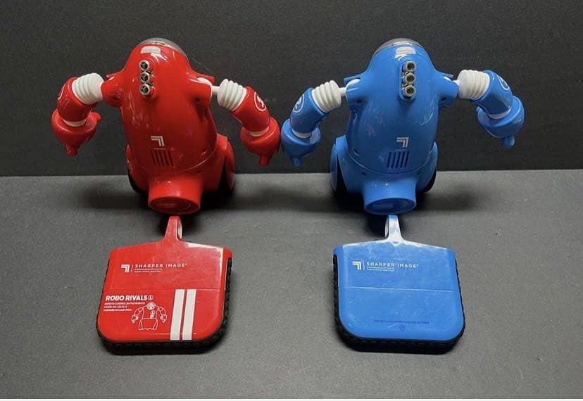Fighter robot RC 1