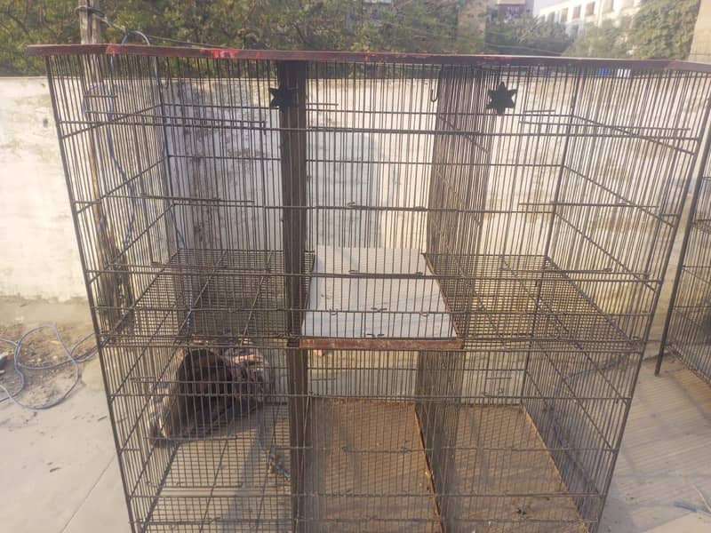master cage 1