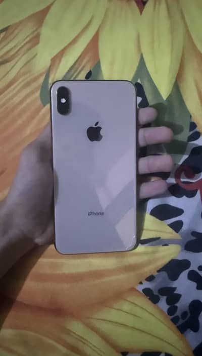 Xsmax Dual Approved