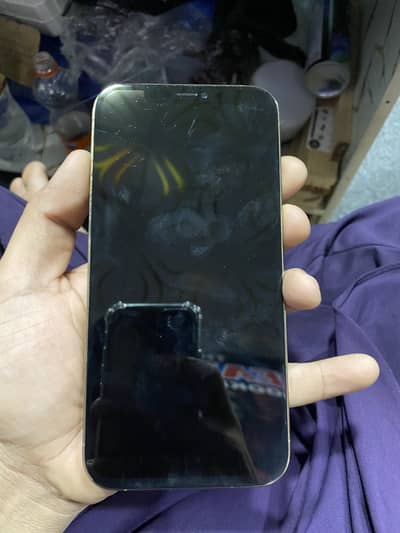Apple iPhone 12 Pro Max