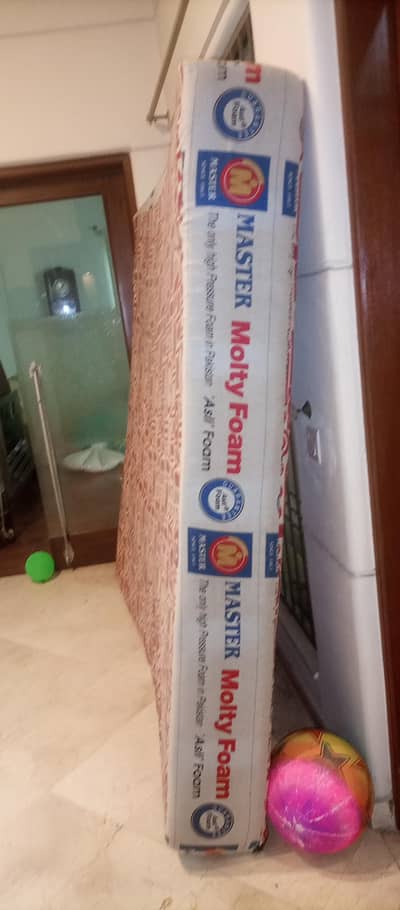 Master Molty Foam Mattress 10inch