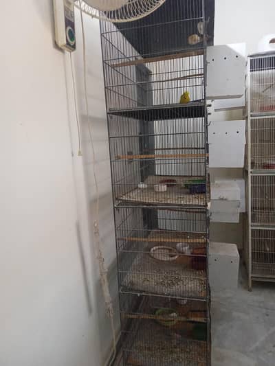 cage for sale