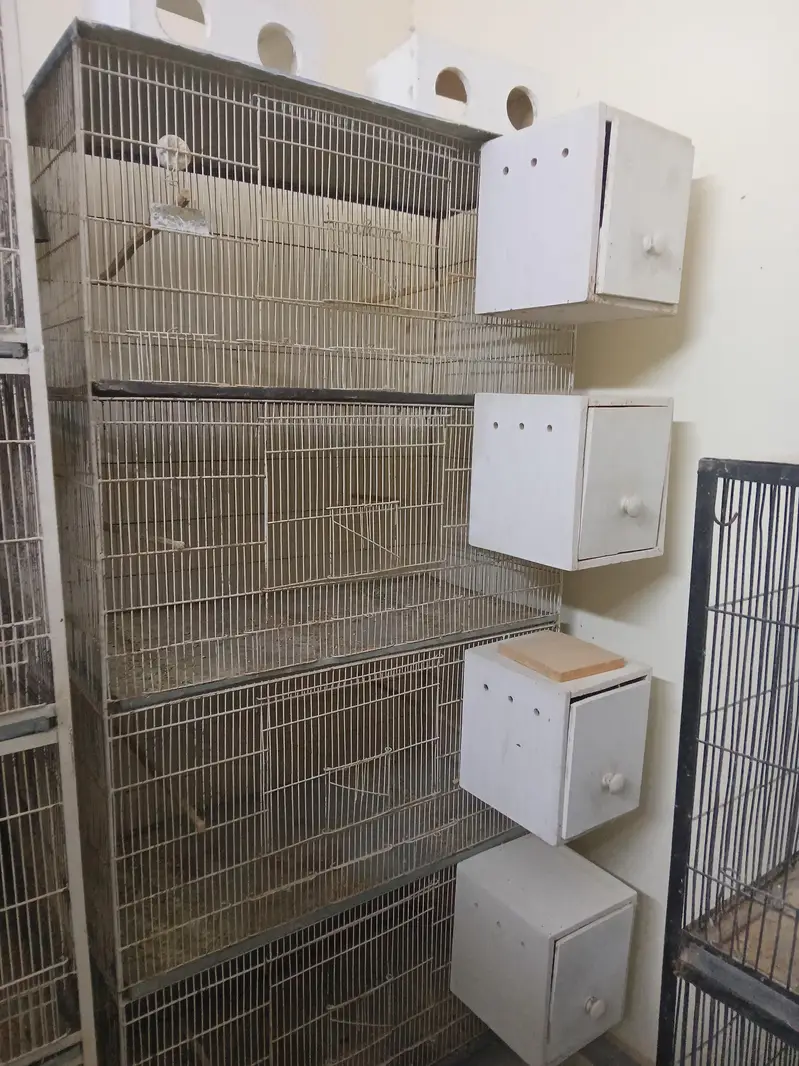 cage for sale — photo 2