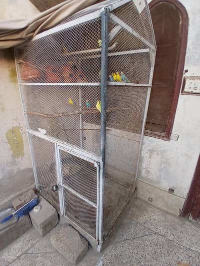 Big Cage with Parrots