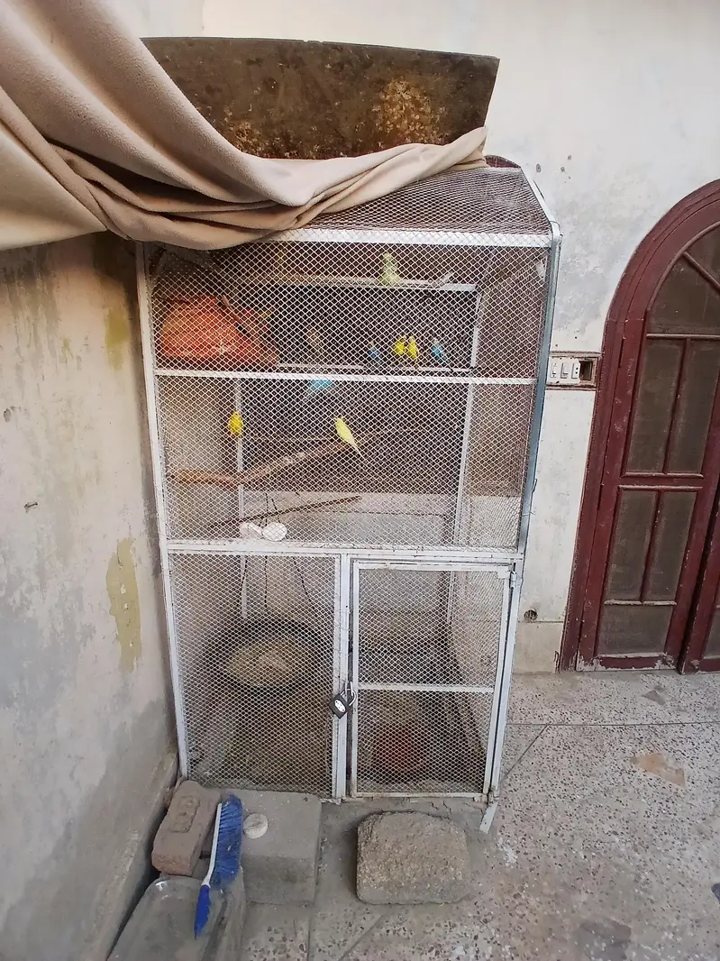 Big Cage with Parrots — photo 2