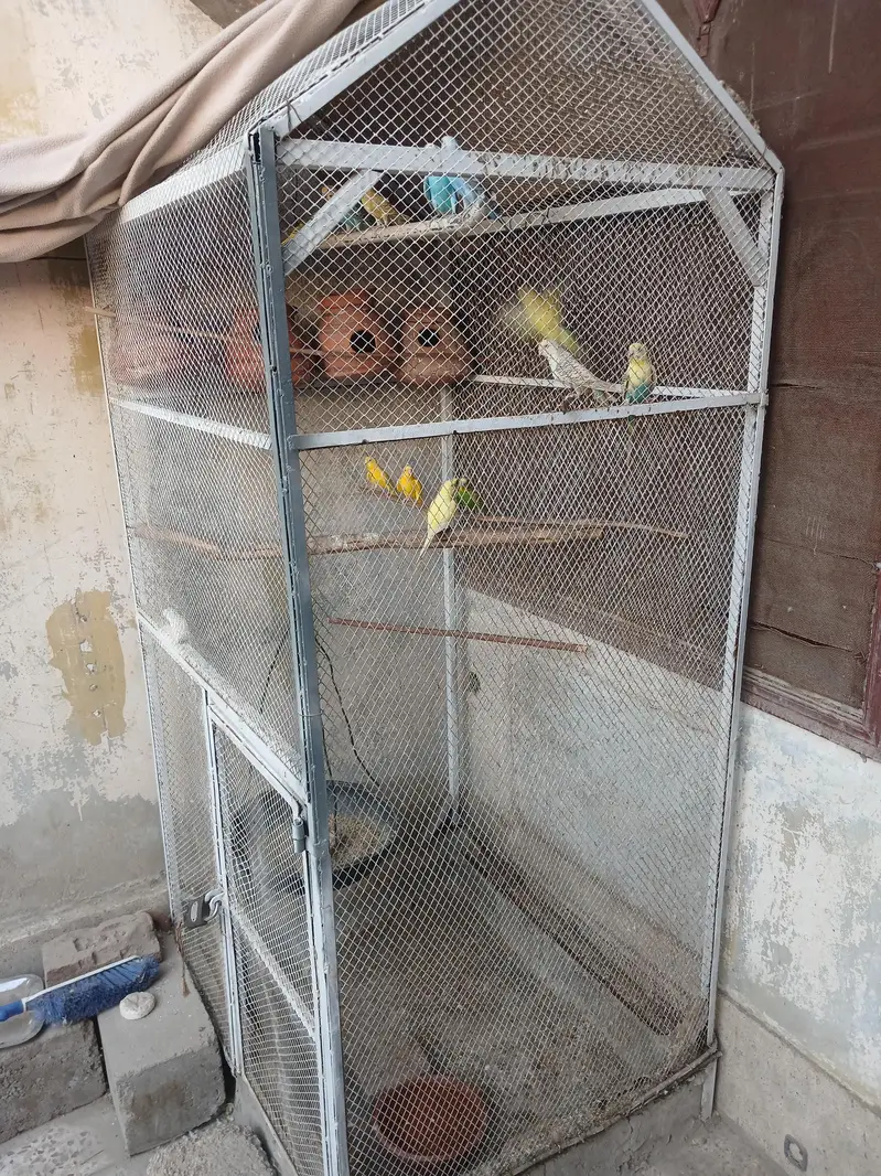 Big Cage with Parrots — photo 4