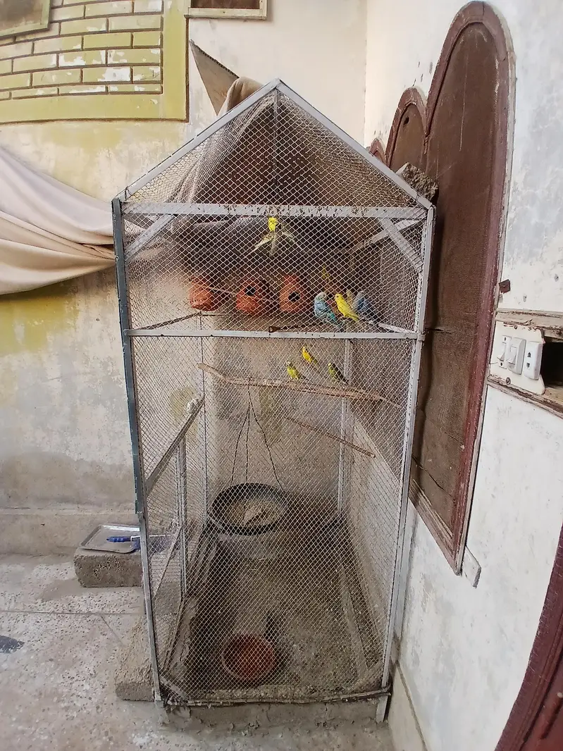 Big Cage with Parrots — photo 9