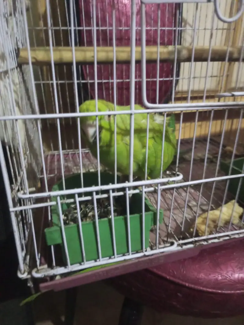 urgent sele karna hai — photo 6